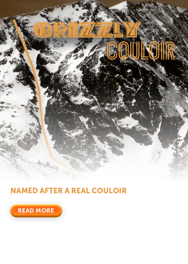 COULOIRS_ banners Grizzly WB